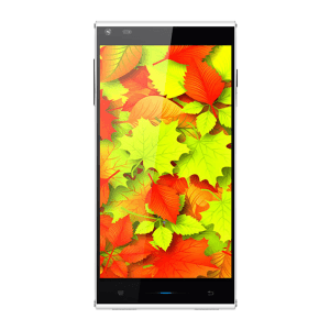 Doogee Dagger